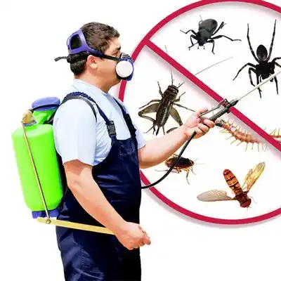 pest control Mesilla